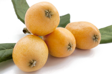 Loquat