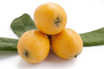 Loquat