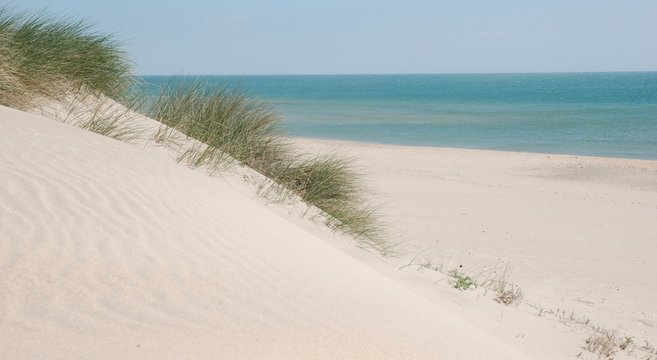 Dune
