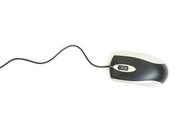 computer mouse