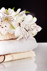 Obraz na płótnie Canvas ręczniki z dzikiej orchidei