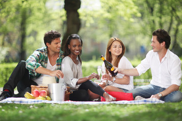 Picknick mit Freunden