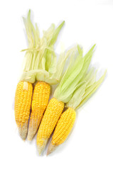four corns