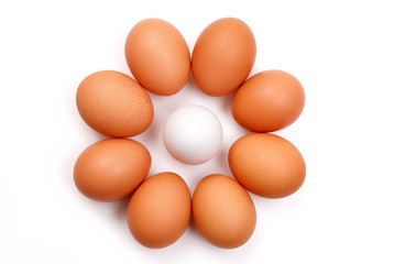 eggs isolated on white background close up