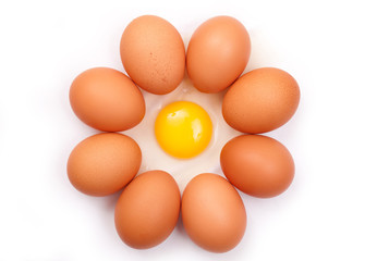 eggs isolated on white background close up