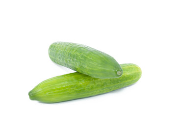 Cucumber