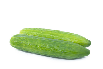 Cucumber