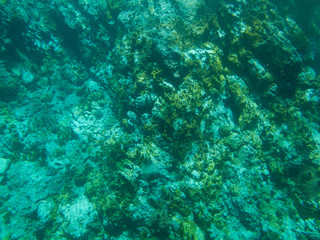 Fonds marins, Guadeloupe