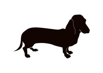 Dachshund Silhouette