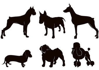 Set of dogs silhouette