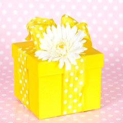 gift box with gerber flower decoraion