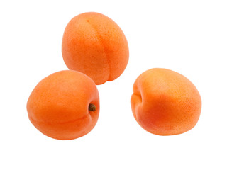 apricot isolated on white background