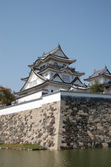 Fototapeta premium CASTLE11