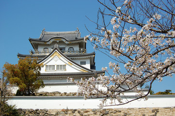 Naklejka premium CASTLE7