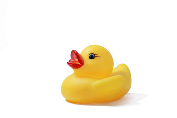 cute rubber duck