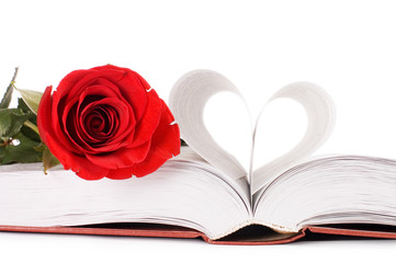 Beautiful red rose on the book isolated
