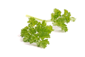 Petersilie - parsley