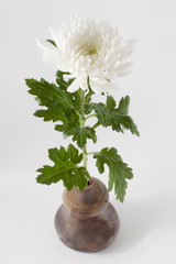 菊と備前焼の一輪挿し