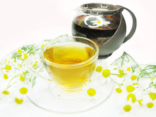 floral herbal tea with daisy flowers