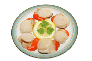 Scallops on plate