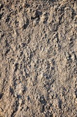 soil