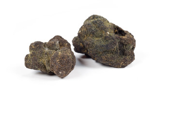 tartufo nero