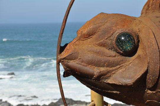 fish