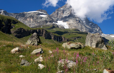 Estate in montagna