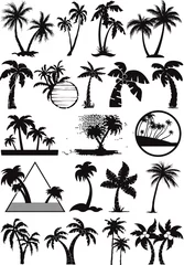 Poster palm  and coconut trees vector silhouette © PrintingSociety