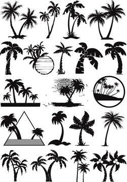 palm  and coconut trees vector silhouette