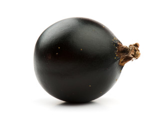 blackcurrant