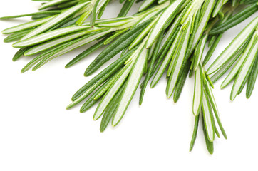 rosemary