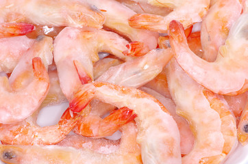 shrimp