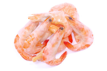 shrimp
