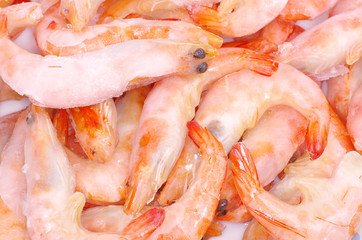 shrimp background