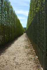 Path in Versailles'gardens