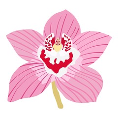 Orchid. Vector