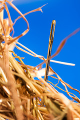 Needle in a haystack