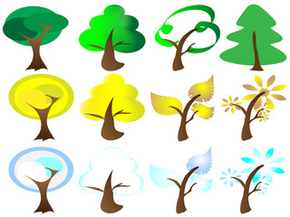 different types of trees in different season