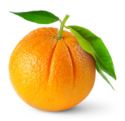 Isolated orange. Single orange fruit with leaves isolated on white background