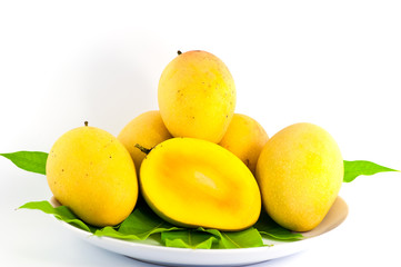mango on the white background