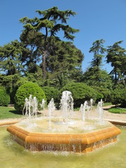 fuente