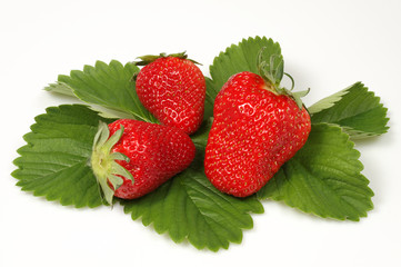 fraises