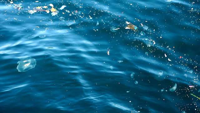 water pollution