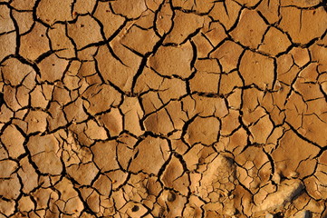 Terre sèche