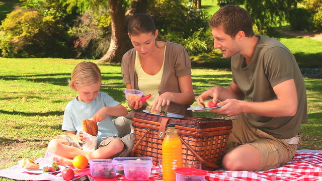 Cute family having a picnic