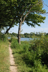 Obraz premium Road along pond