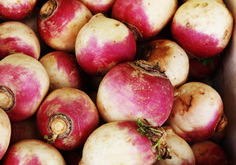 fresh turnip