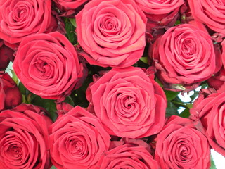 Bouquet de fête