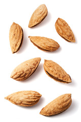 almond